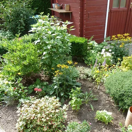 Ferienwohnung Bedey Kilonia Zewnętrze zdjęcie
